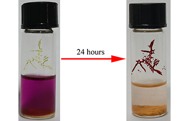 Iodine Adsorption Studies of Dipalladium-based Supramolecular Cages 2011-3271